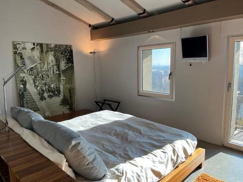 皮内罗洛Residenza la beccata的卧室配有一张大床,墙上配有电视