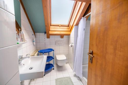 农嫩霍恩Exklusives Josenhaus mit See- und Alpenblick & Gartensauna的一间带水槽和卫生间的浴室以及窗户。