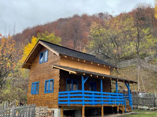 百乐·奥拉内斯蒂Casa Brună的山坡上带蓝色门廊的木屋