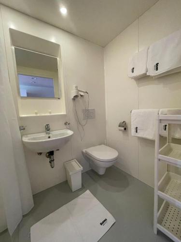 因河畔布劳瑙SOVEA Hotel - Braunau的白色的浴室设有卫生间和水槽。