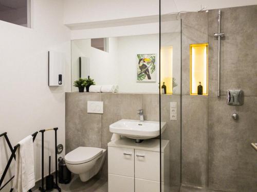 纽伦堡Brunnen Apartments的浴室配有卫生间、盥洗盆和淋浴。