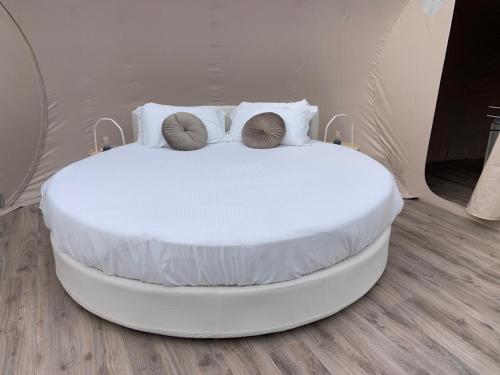 毕博纳的码头Bubble Room Tuscany的一张白色的床,上面有两个枕头