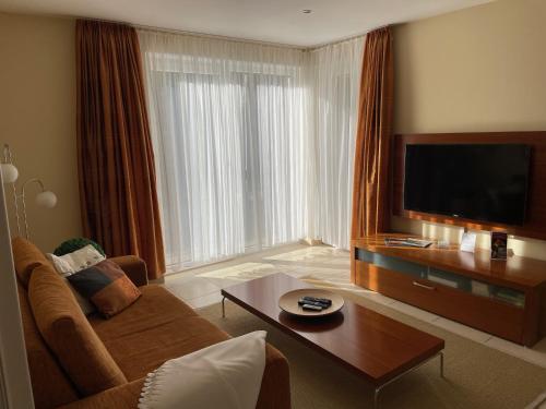 措伊滕莱克维尔公寓式酒店的带沙发和电视的客厅