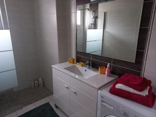 波城Appartement dans Villa的浴室设有白色水槽和镜子