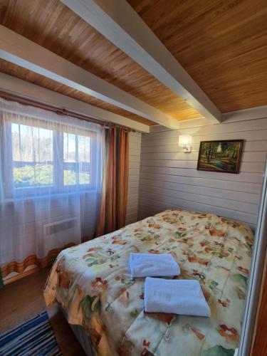 Viesu nams Vecmuiža客房内的一张或多张床位