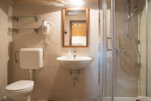 布莱德Apartma BioFit Bled的浴室配有卫生间、盥洗盆和淋浴。