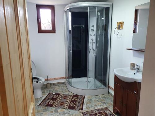 BrebCăsuța din Gradina的带淋浴、卫生间和盥洗盆的浴室