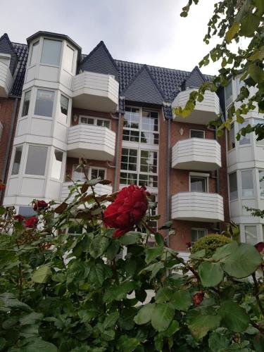 达默FeWo Seeschloss Nr 5的一座建筑前的红玫瑰灌木丛
