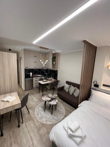 克桑西COZY DOWNTOWN APARTMENT的酒店客房设有床和客厅。