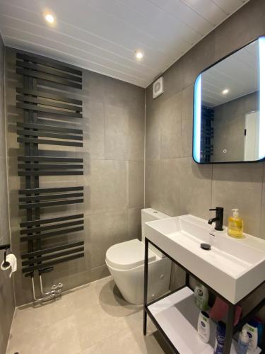马特洛克Adorable Tiny Home Garage Conversion Matlock Bath的一间带水槽、卫生间和镜子的浴室