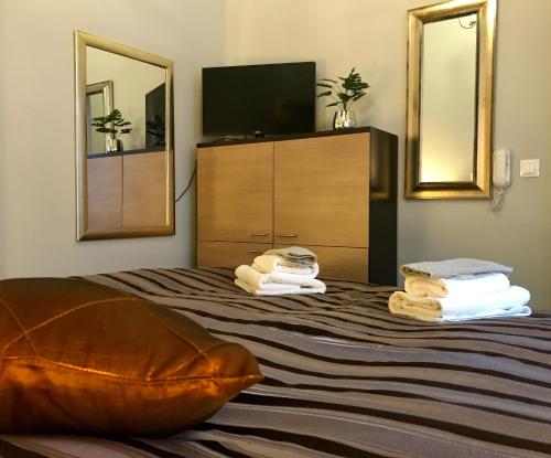 布尔诺Brno center whirlpool apartment的一间卧室配有一张带电视和镜子的床