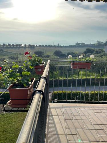 巴多利诺Ladi’s B&B的两个盆栽植物坐在阳台上的栏杆上