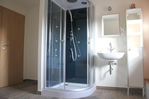 皮尔纳"Altjessen 57"的一个带水槽的玻璃淋浴间