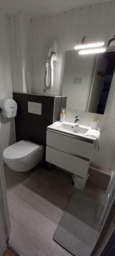 普卢巴拉内克洛奈瑞莱斯酒店的一间带卫生间和水槽的浴室