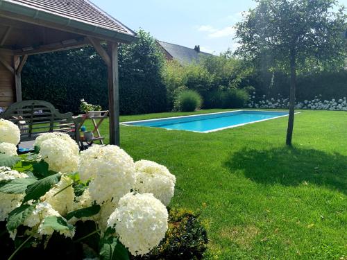 HamB&B 't klein GELUK的一座种有白色花卉的花园和一个游泳池