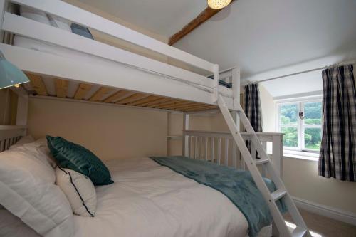兰戈伦Riverside Cottage的一间卧室配有带梯子的双层床