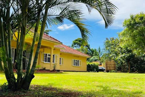 金贾Buutu Nest的一座黄色房子,前面有一棵棕榈树