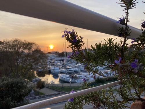 扎达尔Summer Breeze apartment的享有日落码头和紫色花卉的景色