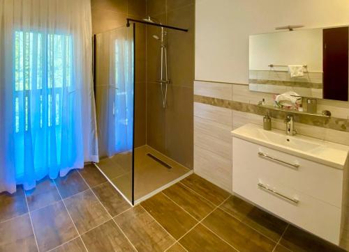 特里滕海姆克朗雷司令酒店的带淋浴和盥洗盆的浴室