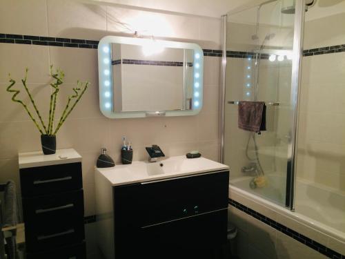 滨海自由城Magnifique appartement proche mer的一间带水槽、镜子和淋浴的浴室