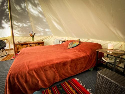 加伯维尔Glamping in the Redwoods的帐篷内一间卧室,配有一张床