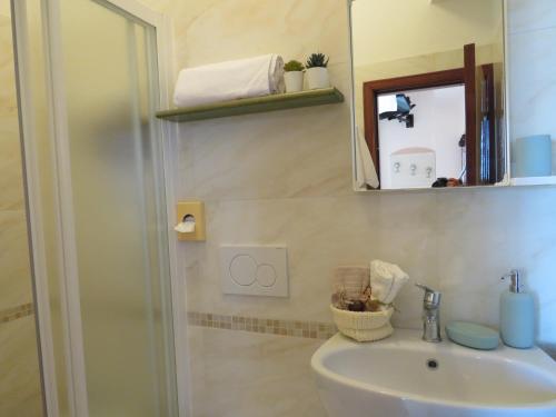 切塞纳蒂科Hotel Primula的带淋浴、盥洗盆和镜子的浴室
