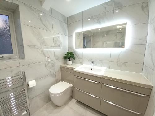 班戈Spacious & Modern 4 Bedroom Holiday Home Gwynedd的一间带卫生间、水槽和镜子的浴室