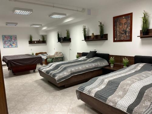 布达佩斯Budapest Wigwam 140 m2的一间有三张床的房间,墙上有植物