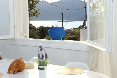阿尔米洛波塔莫斯White Villa in Olive trees and Seaview to Panagia的坐在窗前桌子上的猫