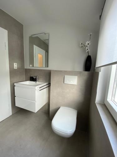 赖讷Ferienwohnung K1889 Rheine - Colin的一间带卫生间、水槽和镜子的浴室