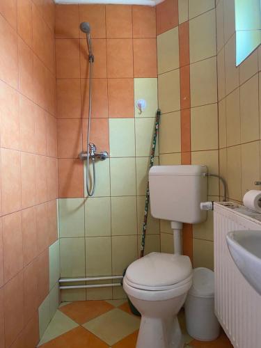 Casa Oana Ioana的一间浴室