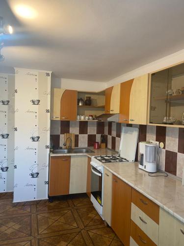 莫伊西德约斯Casa Oana Ioana的厨房配有白色家电和木制橱柜