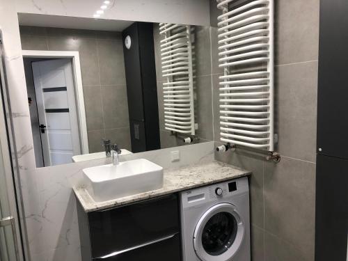 克拉科夫Apartamenty Platinex 6的一间带洗衣机和水槽的浴室