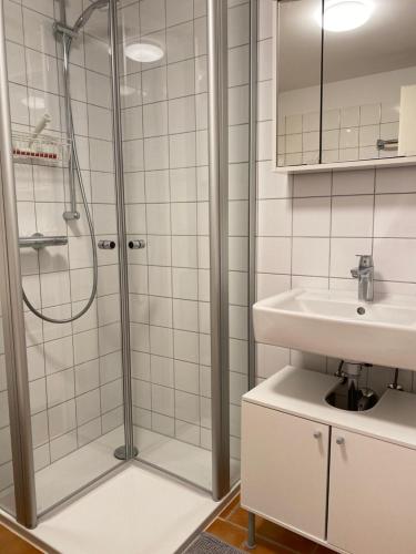 巴特拉斯费Ferienwohnung Bad Laasphe Altstadt的带淋浴和盥洗盆的浴室