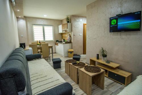 巴伊纳巴什塔Apartman Trijumf的客厅配有沙发和墙上的电视