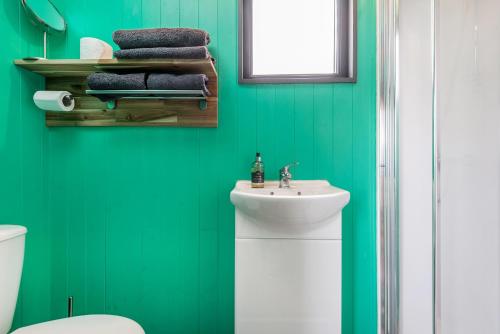 KidwellyThe Big Cwtch Shepherd's Hut的绿色浴室设有水槽和卫生间