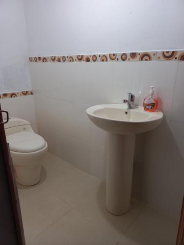 奥科苏尤Musiña Lodge的白色的浴室设有水槽和卫生间。