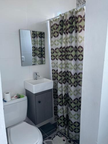 圣地亚哥洛斯卡巴Residencial christall ap 2-A的一间带卫生间、水槽和镜子的浴室