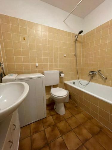 SchwalefeldHaus Bergzicht的浴室配有卫生间、盥洗盆和淋浴。