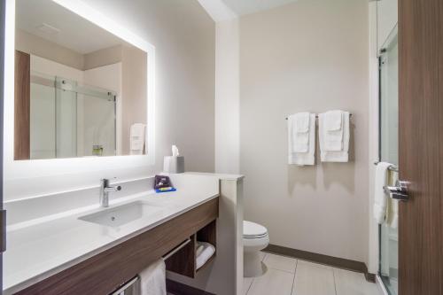 Holiday Inn Express & Suites - Asheboro, an IHG Hotel的一间浴室