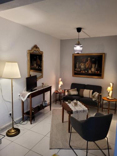 滨海阿热莱斯Bienvenue dans le ROUSSILLON的带沙发和钢琴的客厅