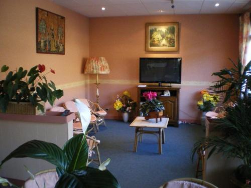PolminhacLe VAL du CANTAL的客厅配有平面电视和植物