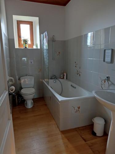 Cénac-et-Saint-JulienMAISON DE FAMILLE的带浴缸、卫生间和盥洗盆的浴室