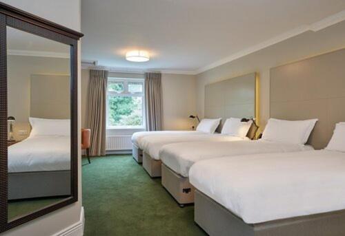 威克洛Powerscourt Springs Health Farm的酒店客房,设有三张床和镜子