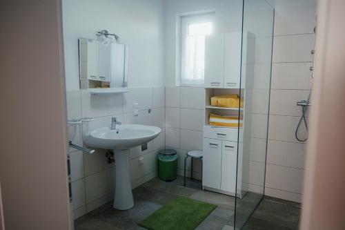 HartmannsdorfGästehaus Jeindl的白色的浴室设有水槽和镜子