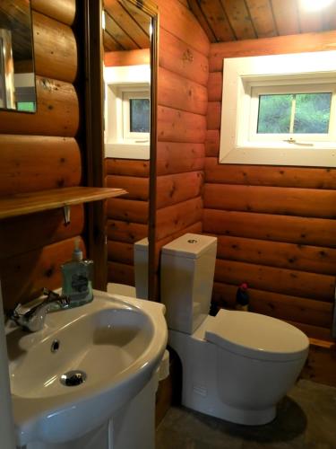 特兹西尼德Shifty Chicken Shack的小木屋内的浴室设有卫生间和水槽。