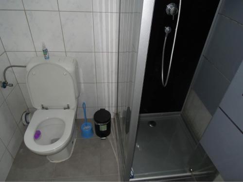 沙勒罗瓦FERTILE的一间带卫生间和淋浴的小浴室