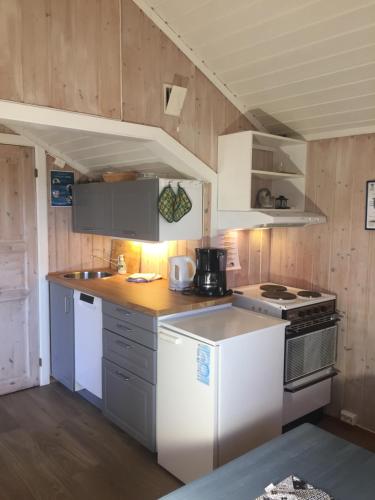 贝特斯托尔贝托斯托兰山林小屋的一间厨房,配有白色家电和木墙