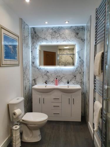 威廉堡Tower Ridge House的一间带卫生间、水槽和镜子的浴室