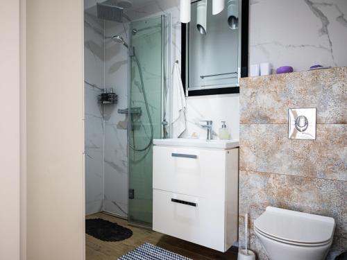 科沃布热格apartament ALINA的一间带卫生间和淋浴的浴室